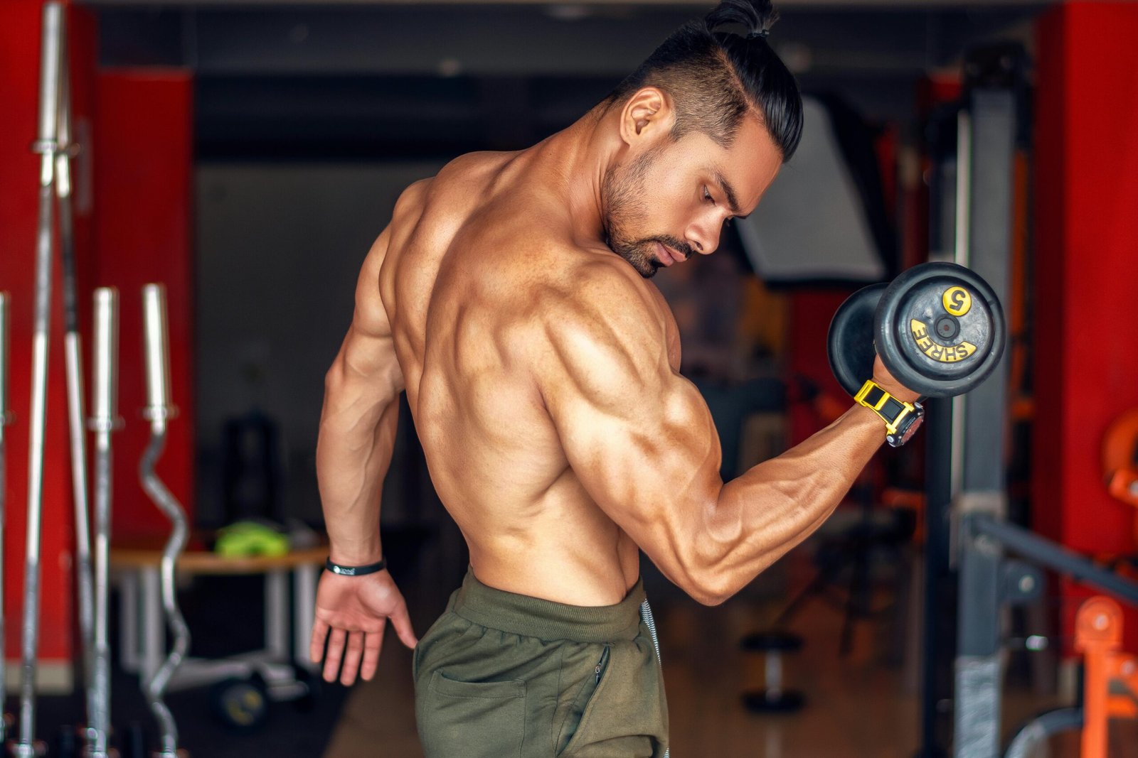 Top 9 Workouts for Beginners to Build Bigger Biceps Fast.